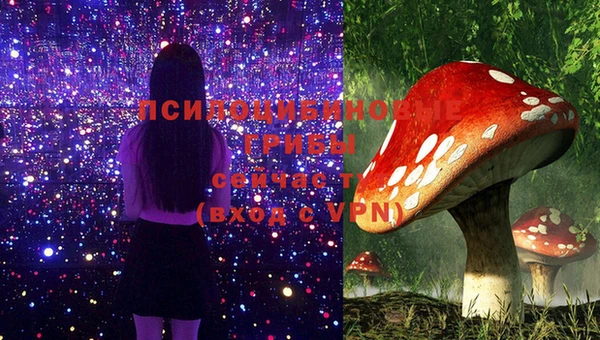тгк Абдулино