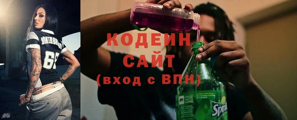 гидра Арсеньев