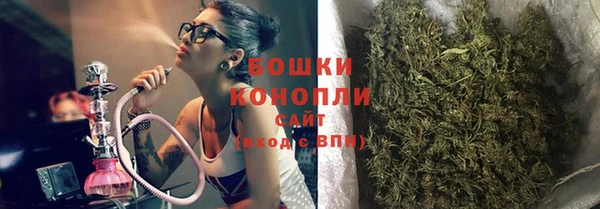 spice Алзамай