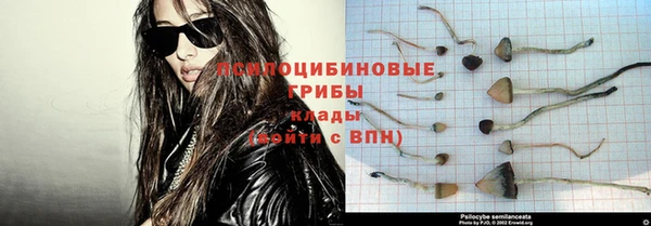 скорость Алексин