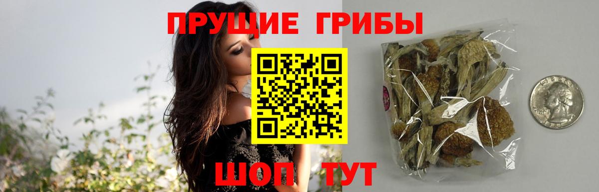Галлюциногенные грибы MAGIC MUSHROOMS  как найти наркотики  Топки  Вход с VPN 