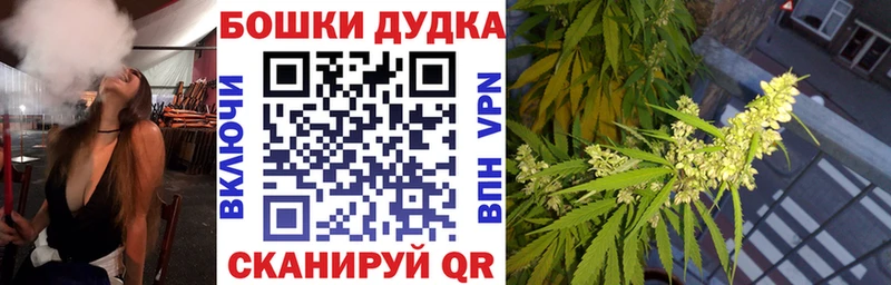 Конопля сатива  купить  сайты  Топки 
